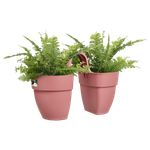 vibia campana flower twin 21cm puderrosa